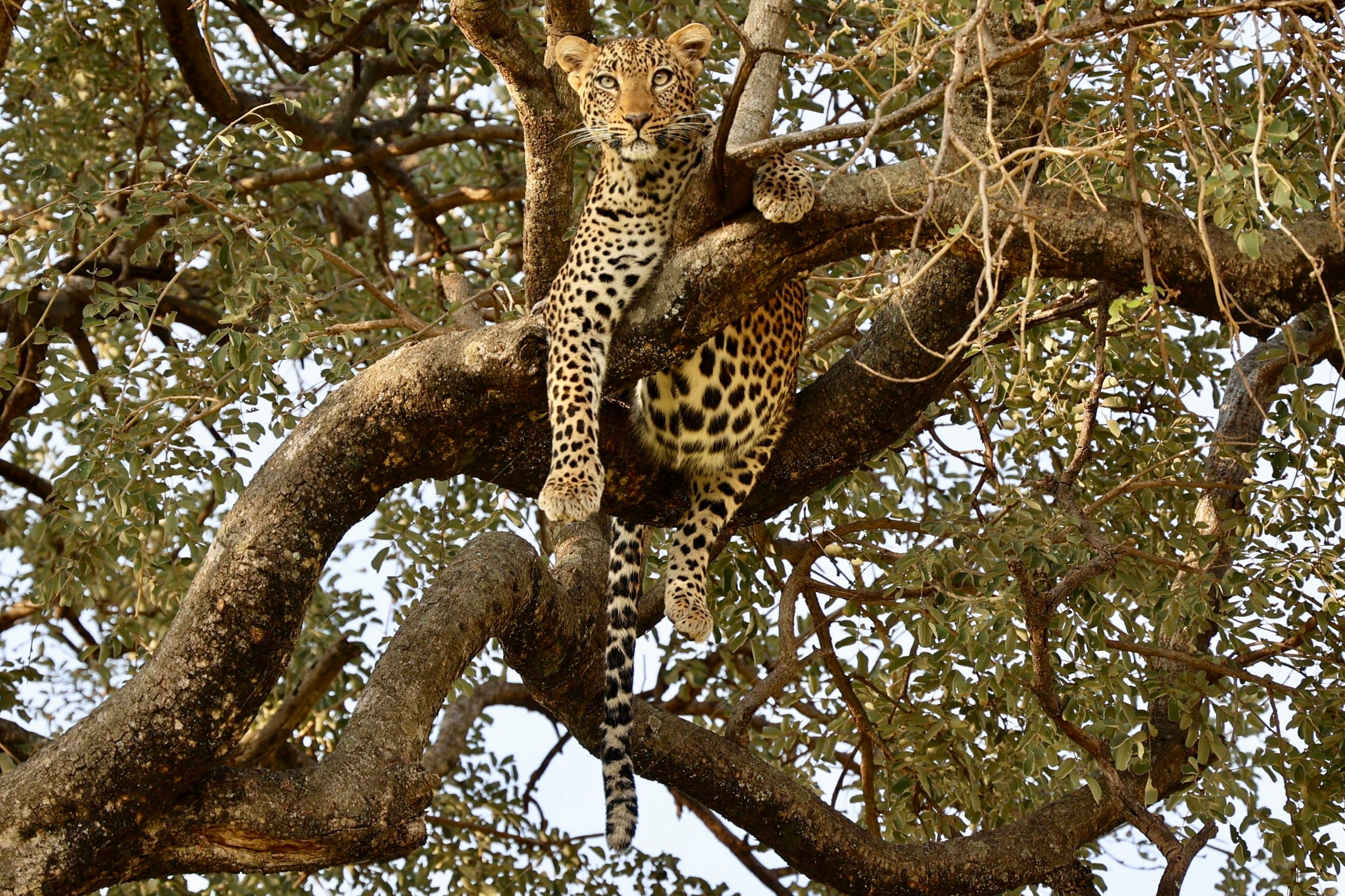 12-Day Tanzania & Zanzibar