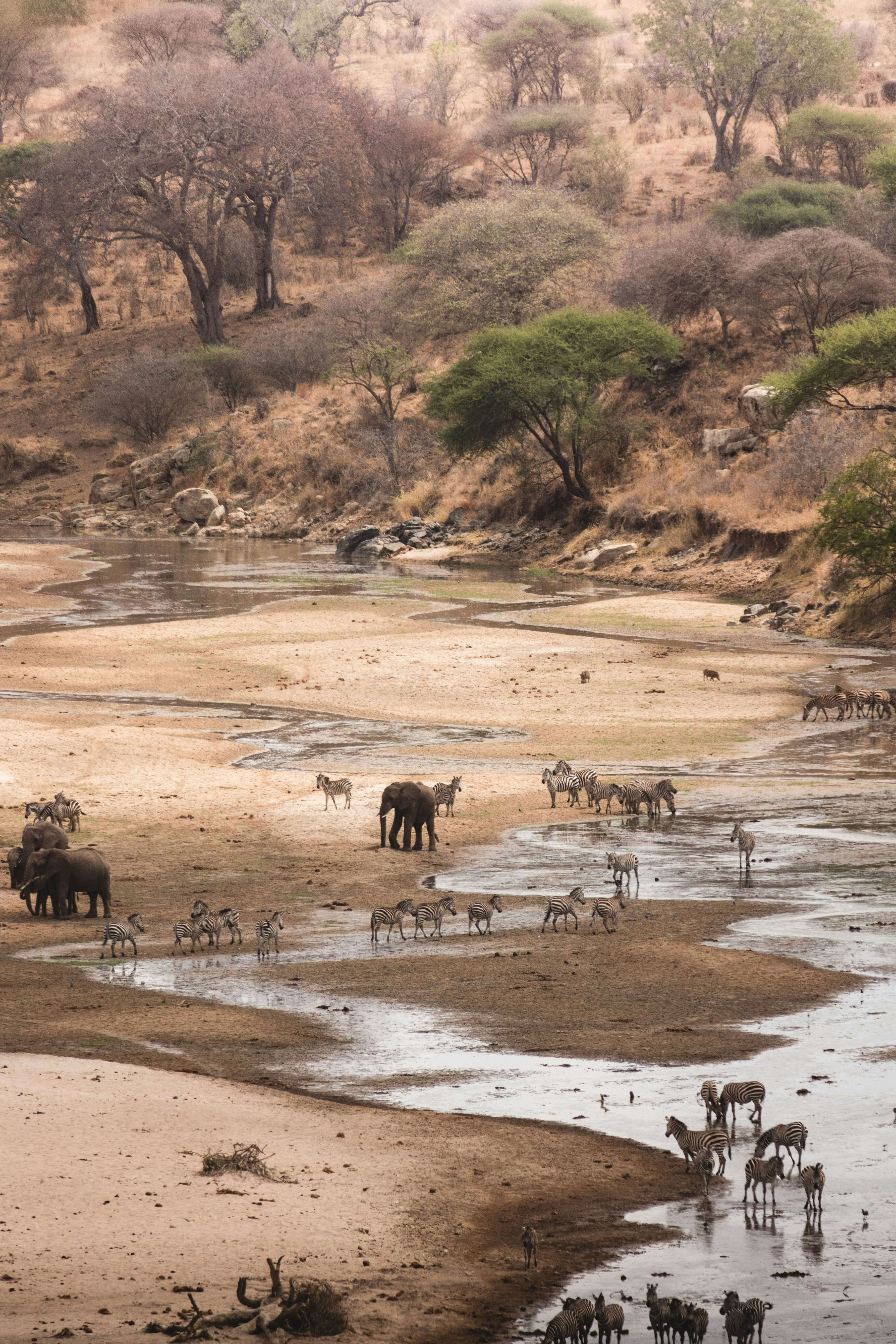 3-Day Express Wild Safari