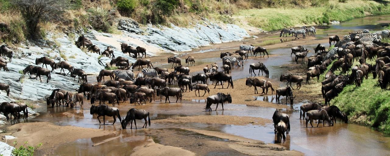 Serengeti National Park climate